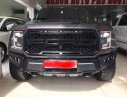 Ford F 150  Raptor  2017 - Bán ô tô Ford F 150 Raptor đời 2017, nhập khẩu