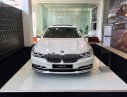 BMW 7 Series 730Li 2018 - Cần bán xe BMW 7 Series 730Li 2018, màu trắng, nhập khẩu