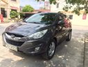 Hyundai Tucson   2010 - Bán Hyundai Tucson sản xuất năm 2010, nhập khẩu