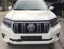 Toyota Prado 2018 - Cần bán xe Toyota Prado 2018, màu trắng, nhập khẩu