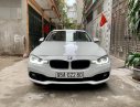 BMW 5 Series 320i 2017 - BMW 320i đời 2017, màu trắng, nhập khẩu