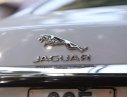 Jaguar XF 2014 - Jaguar XF đời 2014, màu trắng, nhập khẩu