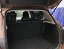 Chevrolet Trax   2017 - Bán Chevrolet Trax năm 2017, màu nâu, nhập khẩu nguyên chiếc như mới 