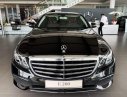 Mercedes-Benz E class  E200 Luxury 2020 - Giá xe Mercedes E200 Luxury 2020, phiên bản mới 2020, ưu đãi đặc biệt