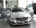 Mercedes-Benz S class S500 2013 - Cần bán xe Mercedes S500 sản xuất 2013, màu bạc chính chủ