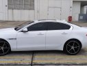 Jaguar XE Portfolio 2015 - Bán ô tô Jaguar XE Portfolio model 2016, màu trắng, nhập khẩu nguyên chiếc