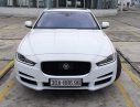 Jaguar XE Portfolio 2015 - Bán ô tô Jaguar XE Portfolio model 2016, màu trắng, nhập khẩu nguyên chiếc