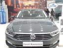 Volkswagen Passat   2019 - Xe Đức 5 chỗ 1.8 Turbo 2019, nhập 100%, giao ngay trước tết, full option - Đủ màu, vay max 85%, lãi 4.99%. LH 0909171299