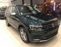 Volkswagen Tiguan 2018 - Bán ô tô Volkswagen Tiguan 2018, xe nhập