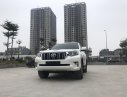 Toyota Prado 2018 - Cần bán xe Toyota Prado đời 2018, màu trắng, xe siêu lướt thơm mùi mới - Liên hệ: 094-711-6996 Mr Thanh