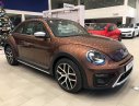 Volkswagen Beetle 2018 - Bán xe Volkswagen Beetle sản xuất 2018, màu nâu nhập từ Âu