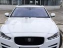 Jaguar XE   2016 - Cần bán gấp Jaguar XE đời 2016, màu trắng, xe nhập