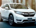 Honda CR V 2019 - Cần bán xe Honda CR V đời 2019, màu trắng, nhập khẩu