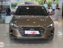 Hyundai Elantra   2.0AT  2016 - Cần bán Hyundai Elantra 2.0AT năm 2016, màu nâu, xe đẹp