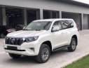Toyota Prado 2019 - Cần bán xe Toyota Prado 2019, màu trắng, nhập khẩu nguyên chiếc