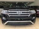 Toyota Land Cruiser VX 2016 - Bán Toyota Land Cruiser VX màu đen 2016, đăng ký tên công ty. LH: Mr Đình 0904927272