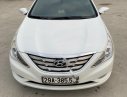 Hyundai Sonata Y20 2010 - Bán xe Hyundai Sonata Y20 năm 2010, màu trắng, nhập khẩu  