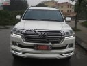 Toyota Land Cruiser VX 4.6 V8 2016 - Bán Toyota Land Cruiser VX 4.6 V8 sản xuất 2016, màu trắng, xe nhập