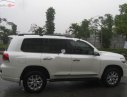 Toyota Land Cruiser VX 4.6 V8 2016 - Bán Toyota Land Cruiser VX 4.6 V8 sản xuất 2016, màu trắng, xe nhập