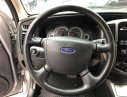 Ford Escape  XLS  2012 - Bán Ford Escape đời 2012, màu bạc, giá 510tr
