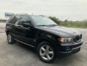 BMW X5   2004 - Cần bán BMW X5 sản xuất năm 2004, màu đen, nhập khẩu  