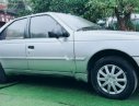 Peugeot 405 1.6 MT 1991 - Bán Peugeot 405 1.6 MT đời 1991, màu bạc, nhập khẩu