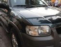 Ford Escape   XLT  2002 - Cần bán Ford Escape XLT đời 2002, màu xanh lục