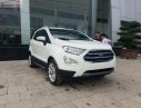 Ford EcoSport Titanium 1.5L AT 2018 - Bán ô tô Ford EcoSport Titanium 1.5L AT đời 2018, màu trắng, mới 100%