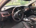 BMW 5 Series 530i 2007 - Bán BMW 5 Series 530i đời 2007, màu xám, xe nhập