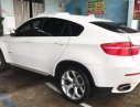 BMW X6 2010 - Bán BMW X6 đời 2010, màu trắng như mới, 800tr