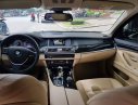 BMW 5 Series 520i 2016 - Bán ô tô BMW 5 Series 520i sản xuất 2016, 31000km, còn rất mới