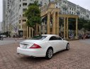 Mercedes-Benz CLS class CLS 350 2008 - Bán ô tô Mercedes CLS 350 năm sản xuất 2008, màu trắng, nhập khẩu nguyên chiếc