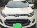 Ford EcoSport 2016 - Cần bán Ford EcoSport năm 2016, màu trắng, chính chủ