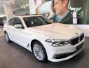 BMW 5 Series 530i Luxury Line 2018 - Bán ô tô BMW 5 Series 530i Luxury Line năm sản xuất 2018, màu trắng, xe mới 100%