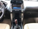 Toyota Prado TXL 2011 - Bán Toyota Prado 2011, màu đen