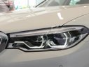 BMW 5 Series 530i Luxury Line 2018 - Bán ô tô BMW 5 Series 530i Luxury Line năm sản xuất 2018, màu trắng, xe mới 100%