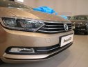 Volkswagen Passat GP 2018 - (VW Sài Gòn) Passat GP nhập Đức 100%. Có màu vàng gold giao