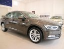 Volkswagen Passat Bluemotion 2018 - (Vw Sài Gòn) Passat Bluemotion 2018 bản cao cấp nhất hỗ trợ 100% trước bạ trong tháng 02. Giao ngay _ vay 90%