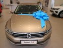 Volkswagen Passat GP 2018 - (VW Sài Gòn) Passat GP nhập Đức 100%. Có màu vàng gold giao