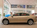 Volkswagen Passat GP 2018 - (VW Sài Gòn) Passat GP nhập Đức 100%. Có màu vàng gold giao