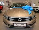 Volkswagen Passat GP 2018 - (VW Sài Gòn) Passat GP nhập Đức 100%. Có màu vàng gold giao