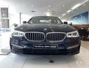 BMW 5 Series 520i  2019 - BMW 520i All new 2019 - Nhập khẩu chính hãng - Hỗ trợ vay trả góp, lãi suất ưu đãi