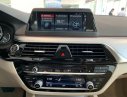 BMW 5 Series 520i  2019 - BMW 520i All new 2019 - Nhập khẩu chính hãng - Hỗ trợ vay trả góp, lãi suất ưu đãi