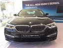 BMW 5 Series 530i 2019 - Cần bán BMW 5 Series 530i 2019, màu đen, xe nhập khẩu 