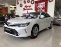 Toyota Camry   2.5Q  2019 - Cần bán Toyota Camry 2.5Q sản xuất năm 2019