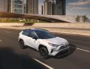 Toyota RAV4 XLE 2019 - Bán ô tô Toyota RAV4 XLE sản xuất 2020, nhập khẩu nguyên chiếc, xe đặt cọc