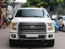 Ford F 150 Platium 2016 - Bán xe Ford F 150 Platium đời 2016, màu trắng, nhập khẩu