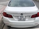 BMW 5 Series 520i 2013 - Bán ô tô BMW 5 Series 520i năm sản xuất 2013, màu trắng, nhập khẩu 