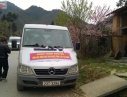 Mercedes-Benz Sprinter 313  2008 - Bán xe cũ Mercedes Sprinter 313 2008, màu bạc