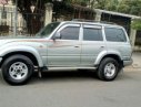 Toyota Land Cruiser 1995 - Bán Toyota Land Cruiser đời 1995, màu bạc, nhập khẩu, 175tr